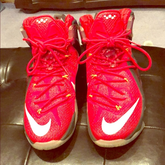 Lebron shoe - Picture 1 of 5